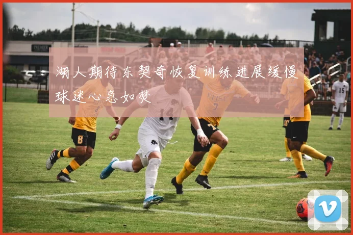 湖人期待东契奇恢复训练进展缓慢球迷心急如焚