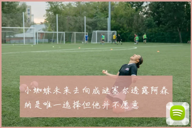 小蜘蛛未来去向成谜塞尔透露阿森纳是唯一选择但他并不愿意